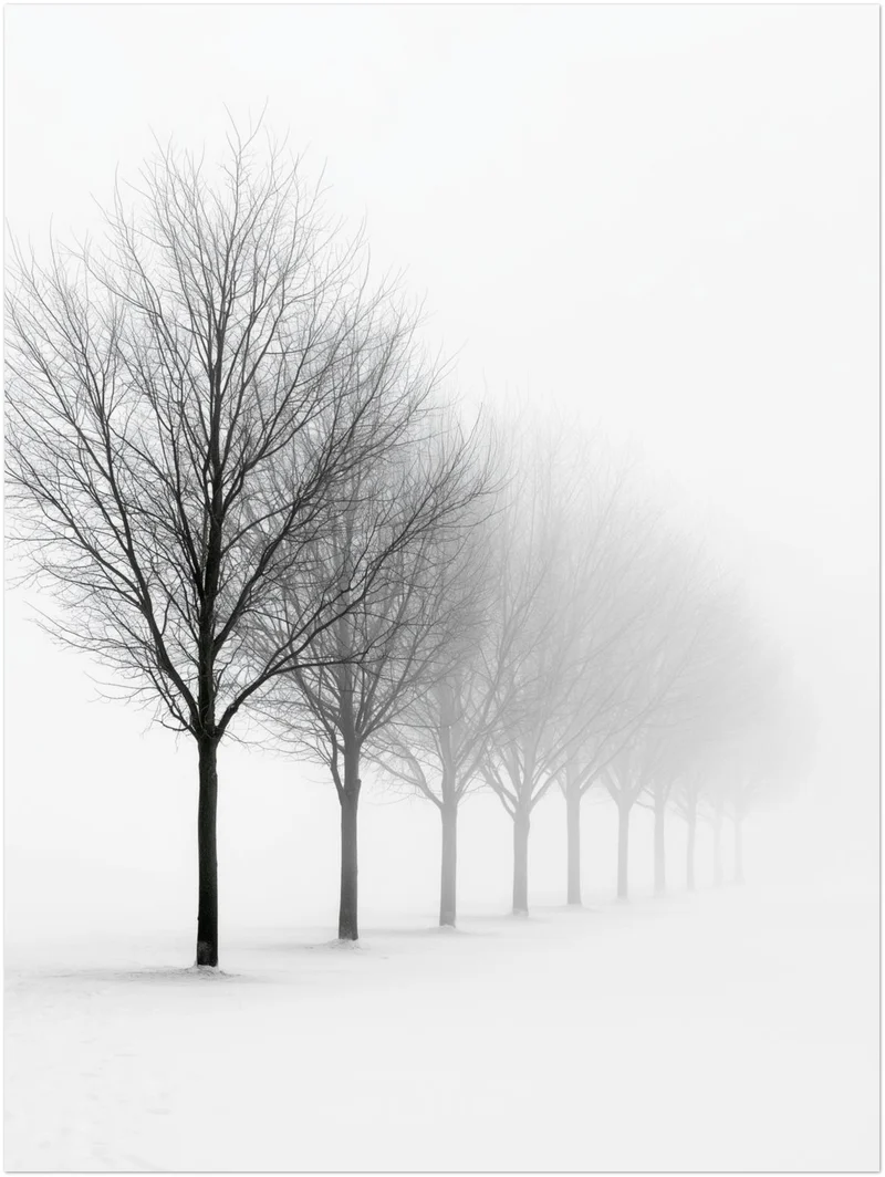 Baumreihe im Winternebel Poster
