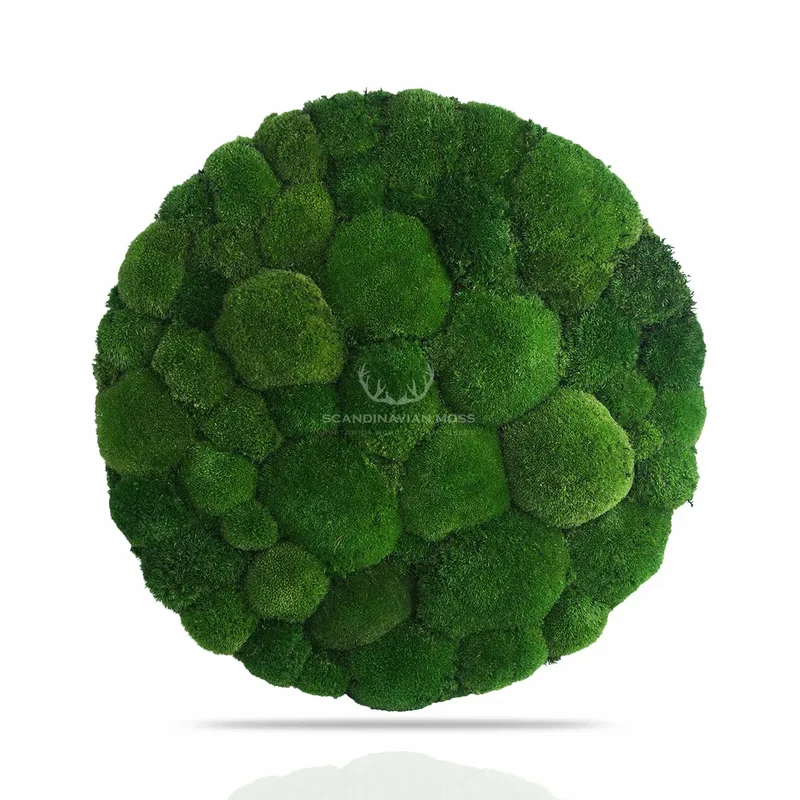 Frameless Pillow Moss Wall Panels - Round