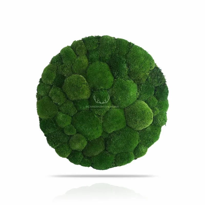 Frameless Pillow Moss Wall Panels - Round