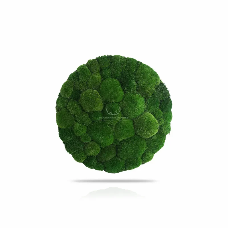 Frameless Pillow Moss Wall Panels - Round