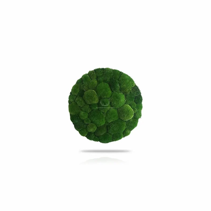 Frameless Pillow Moss Wall Panels - Round