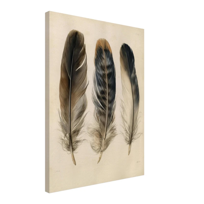 Drei Federn naturalistisch Leinwand