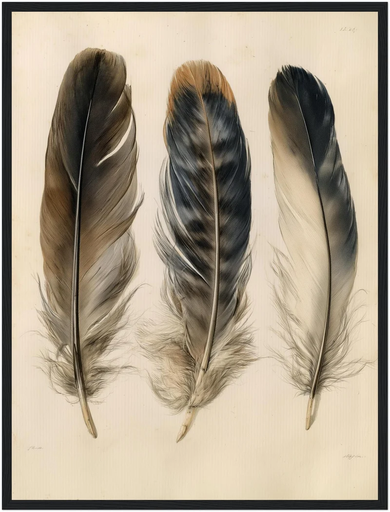Drei Federn naturalistisch Poster