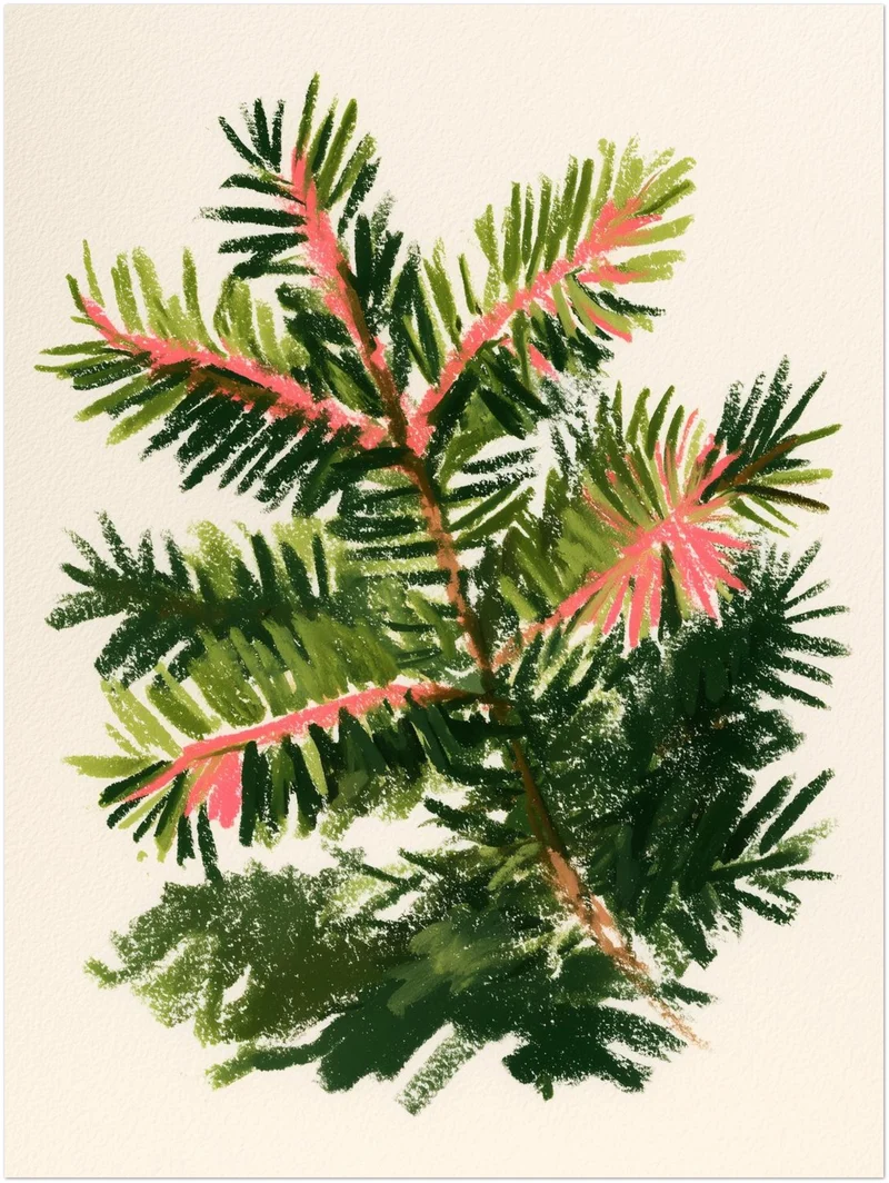 Tannenzweig mit rosa Trieben Poster