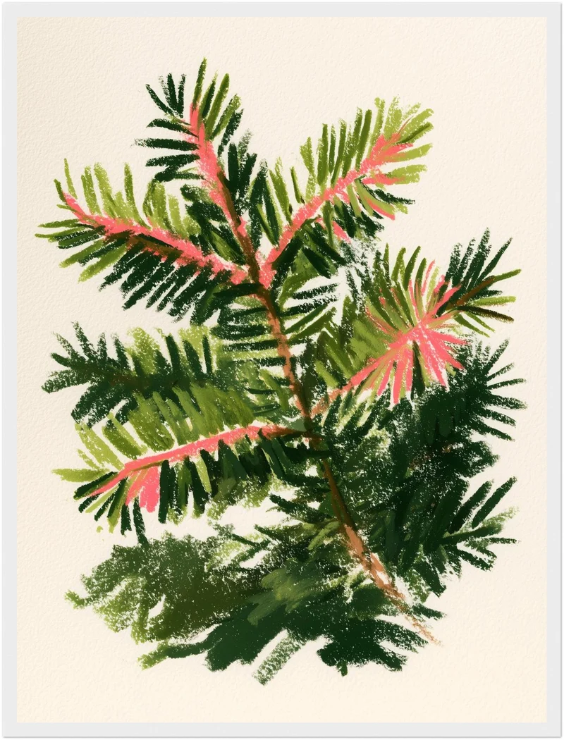 Tannenzweig mit rosa Trieben Poster