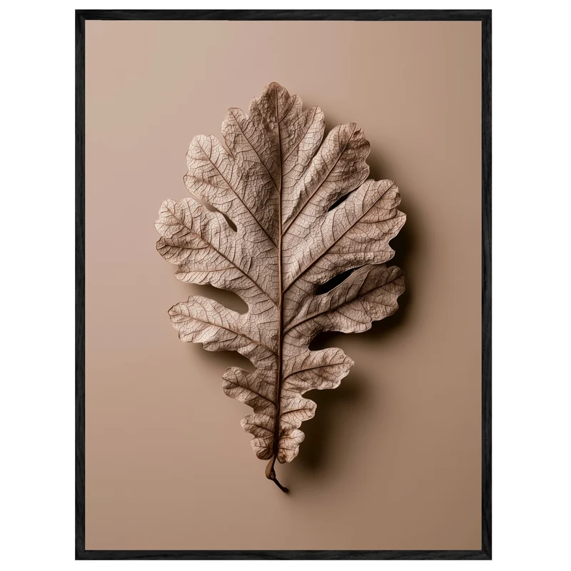Getrocknetes Eichenblatt Nahaufnahme Leinwand