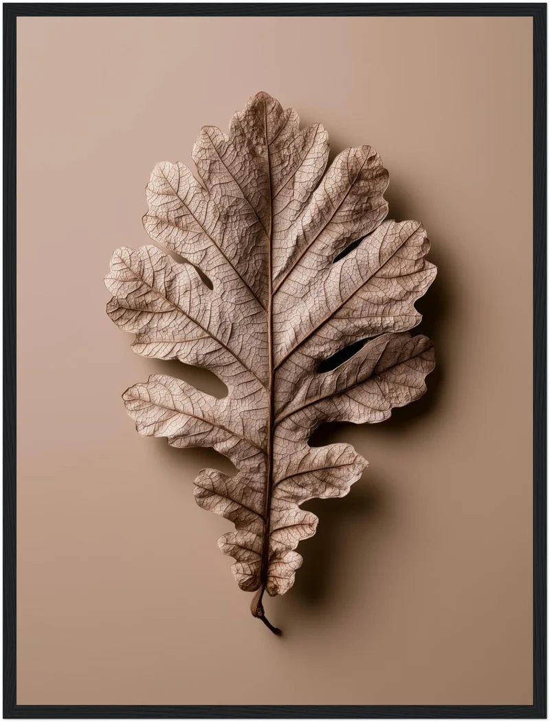 Getrocknetes Eichenblatt Nahaufnahme Poster