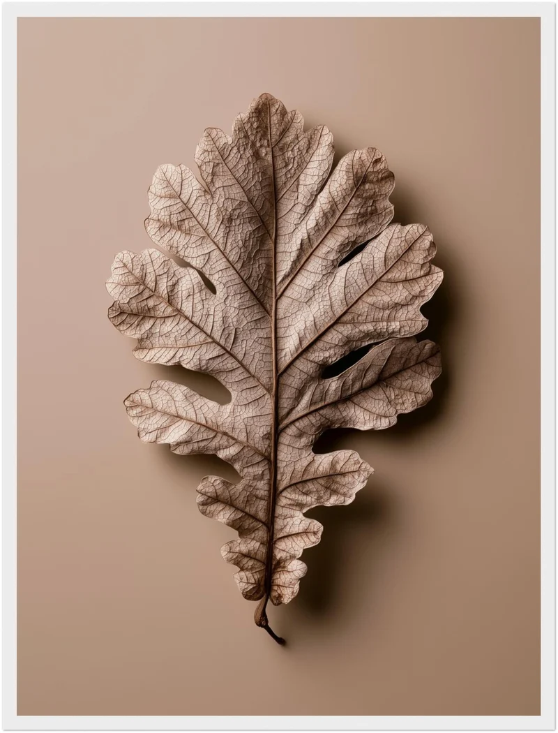 Getrocknetes Eichenblatt Nahaufnahme Poster