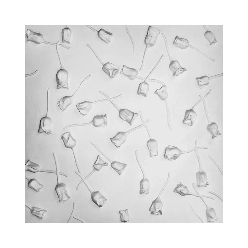 3D Gypsum Wall Art Panels - ROSE GARDEN