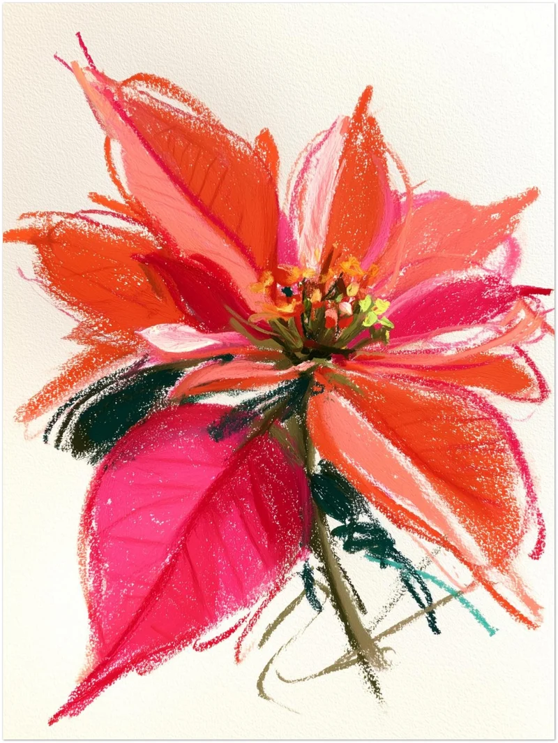Wilde Poinsettia in rot Leinwand