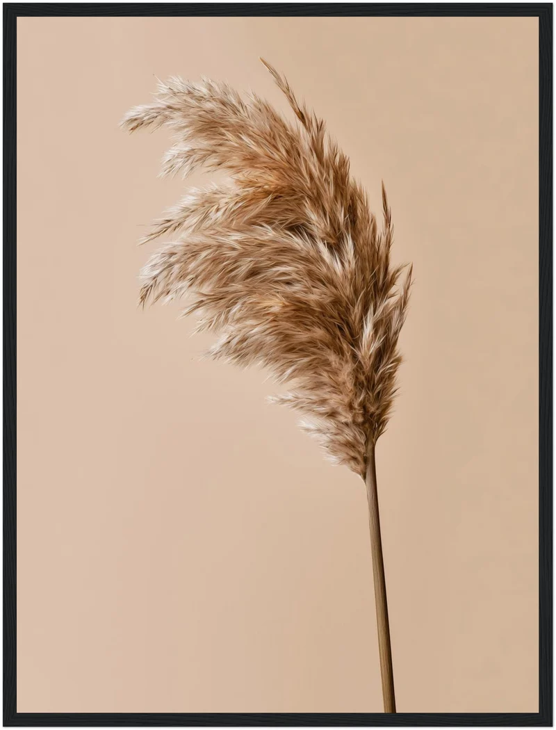 Pampasgras im Wind Poster