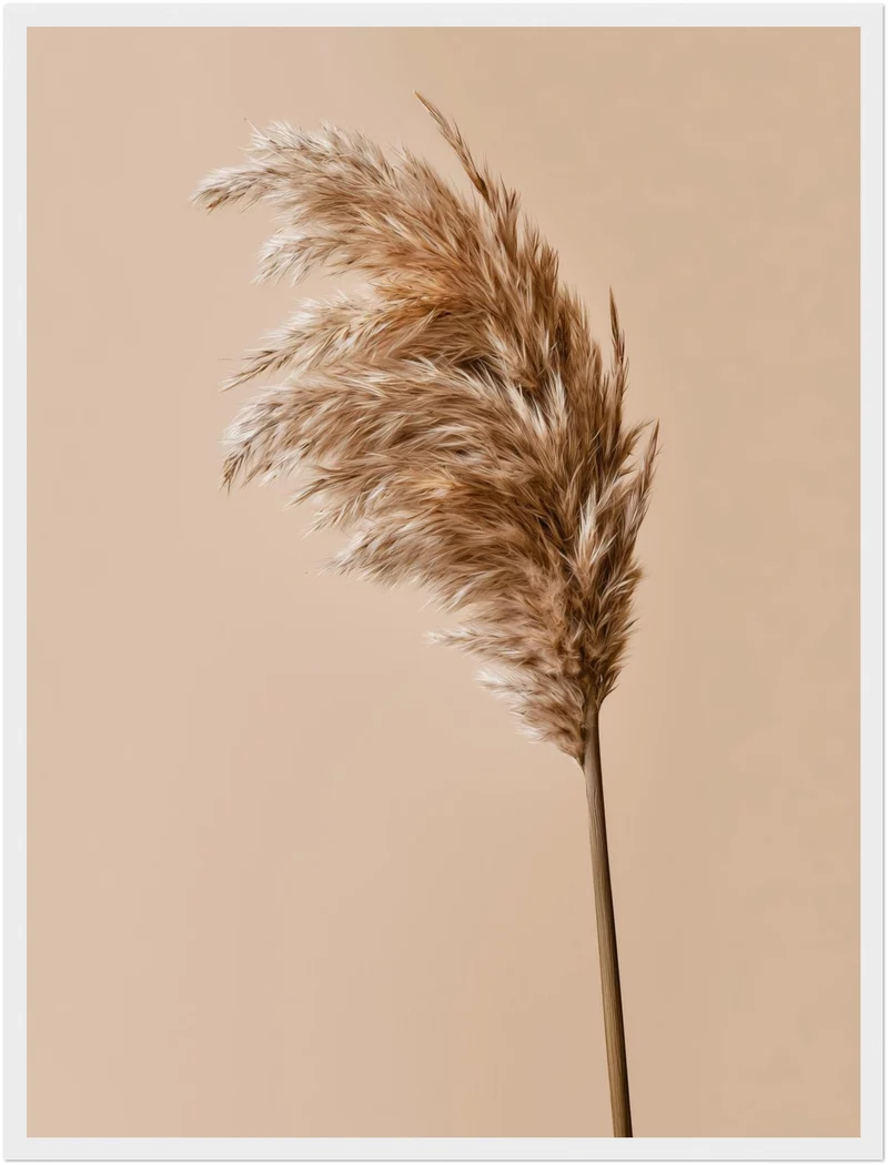 Pampasgras im Wind Poster