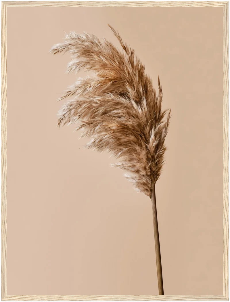 Pampasgras im Wind Poster