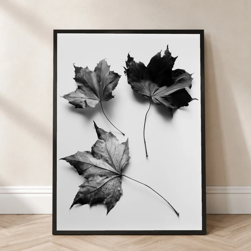 Drei Ahornblätter Schwarz-Weiß Poster