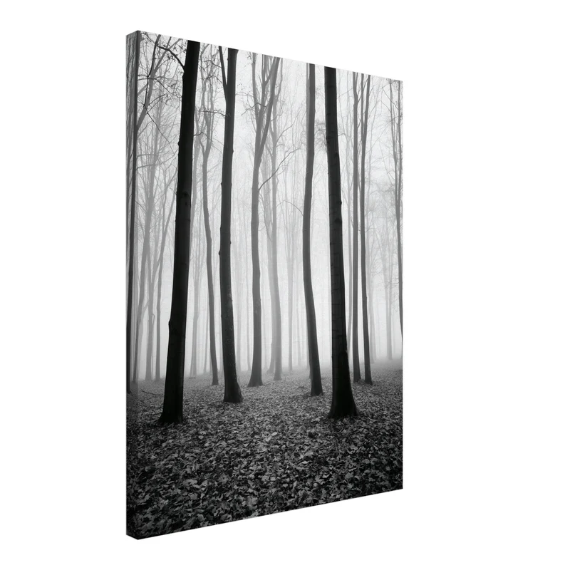 Nebel im Winterwald Leinwand