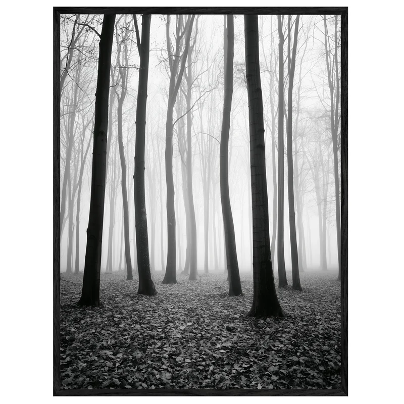 Nebel im Winterwald Leinwand