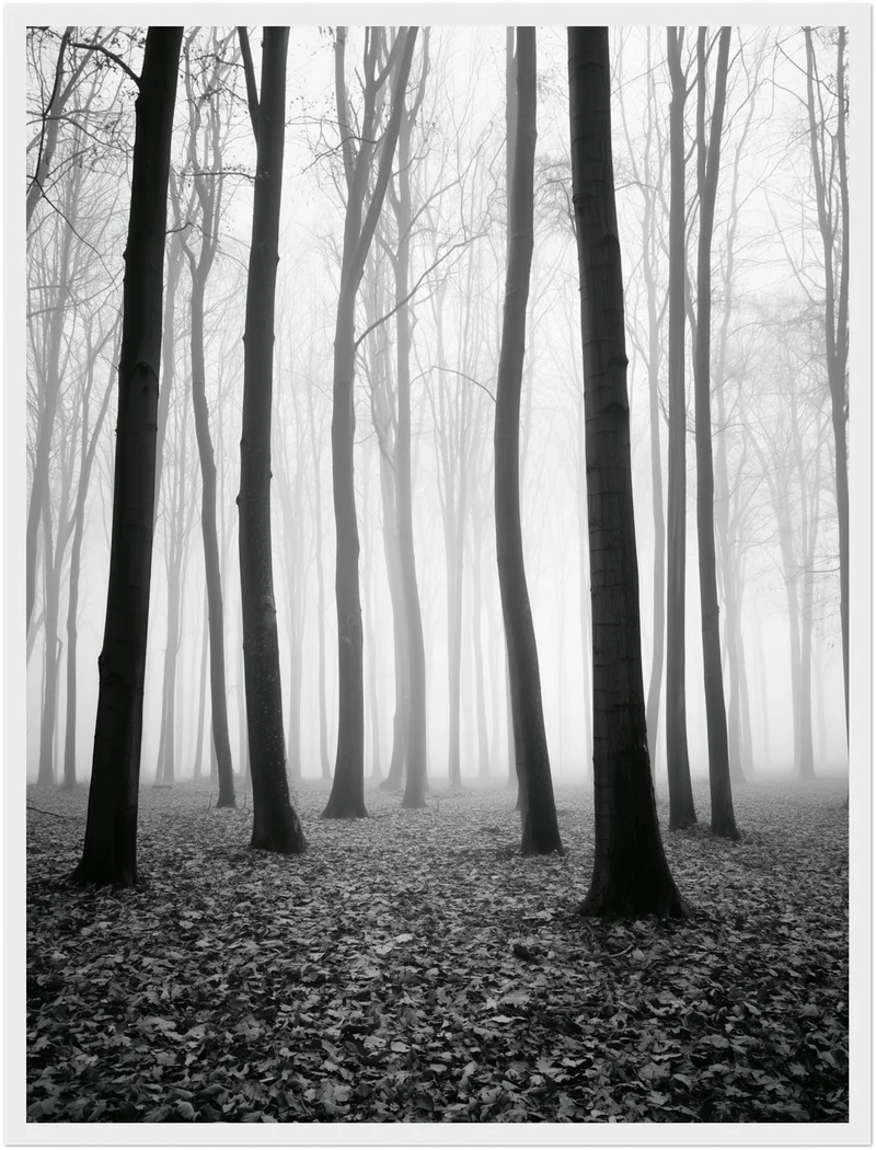 Nebel im Winterwald Poster