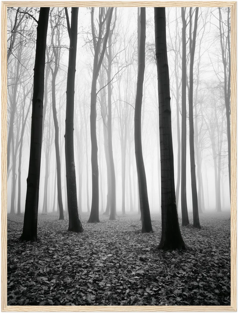 Nebel im Winterwald Poster