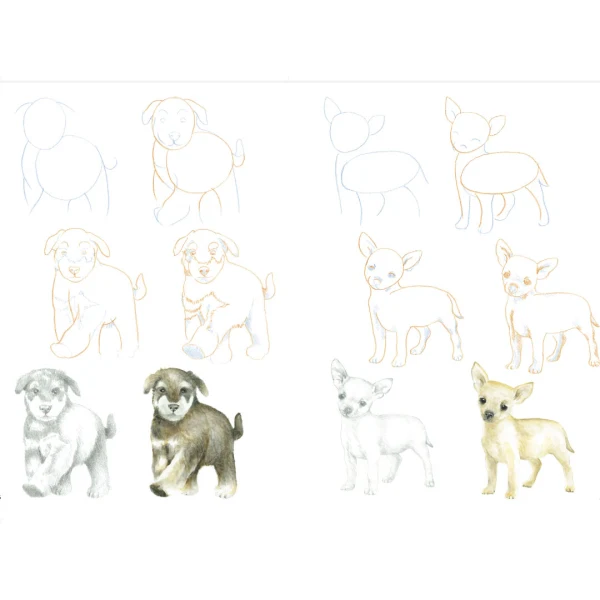 Search Press Books - How to Draw - Puppies