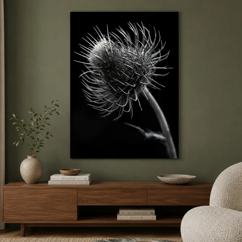distel-nahaufnahme Leinwand