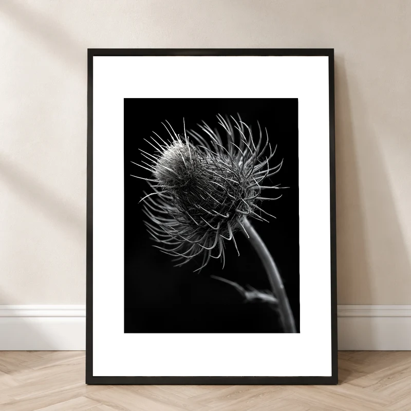 distel-nahaufnahme Poster