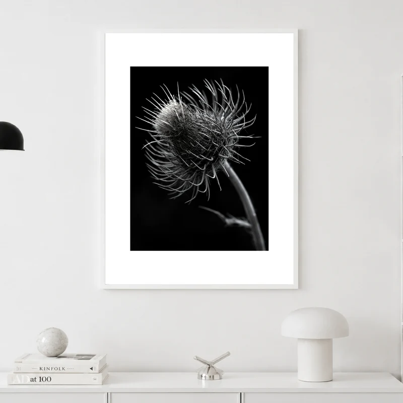 distel-nahaufnahme Poster