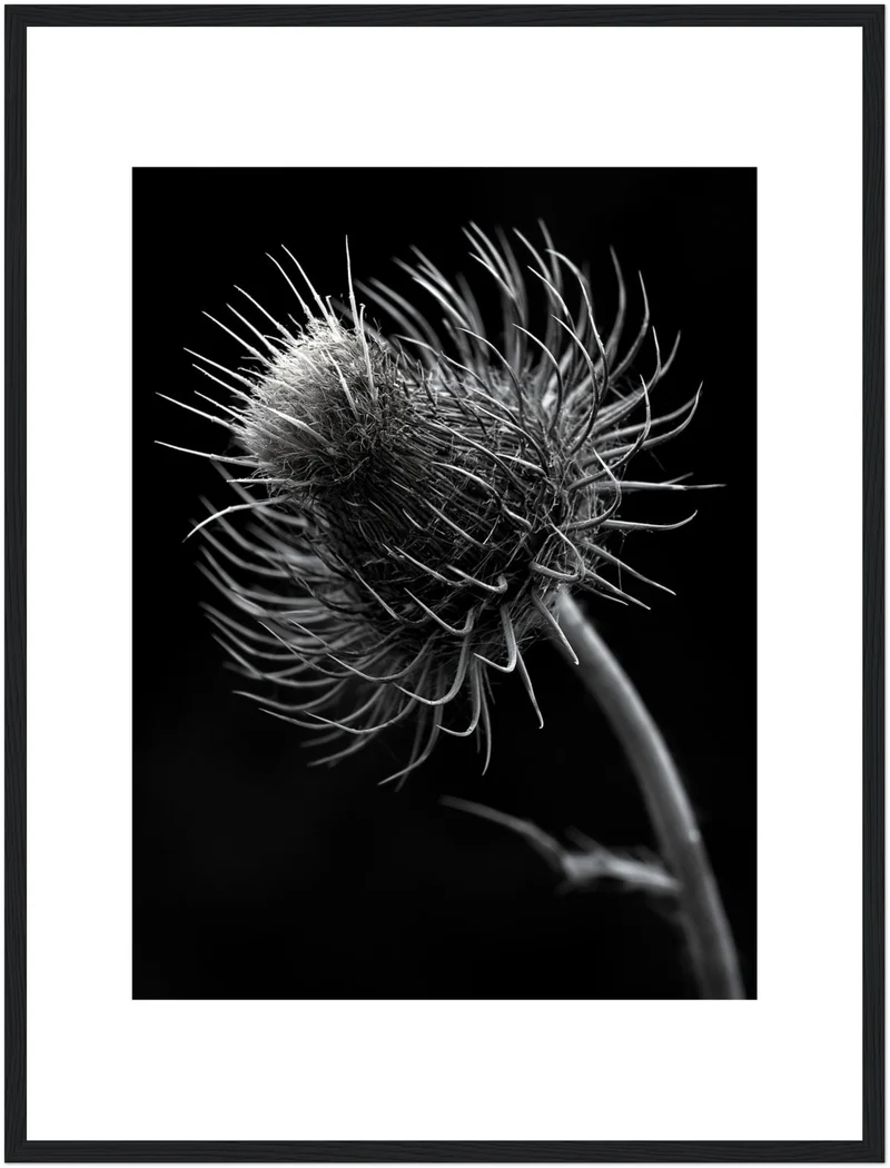 distel-nahaufnahme Poster