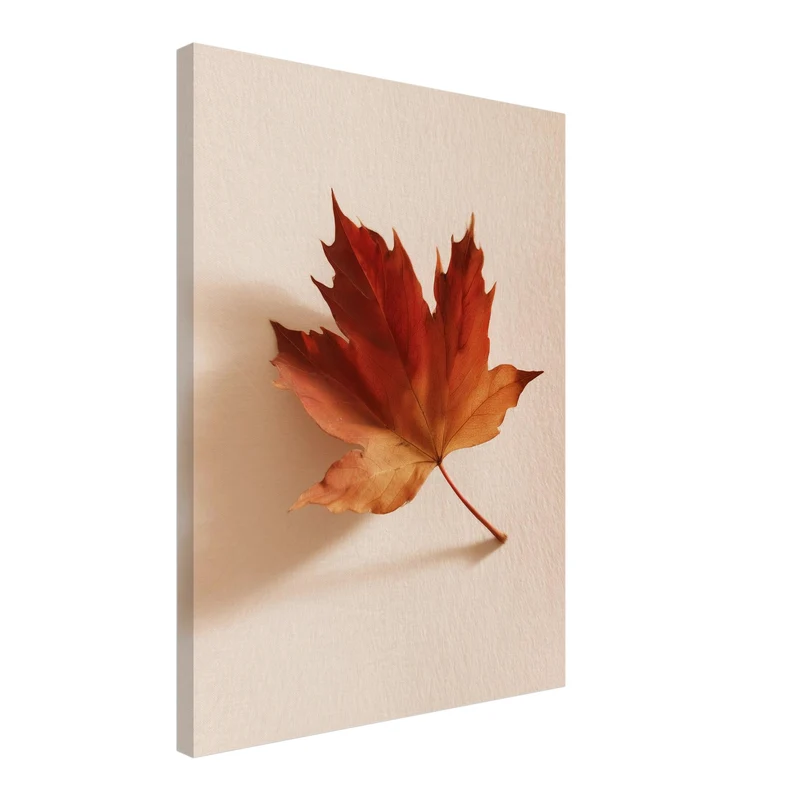Herbstblatt im Licht Leinwand