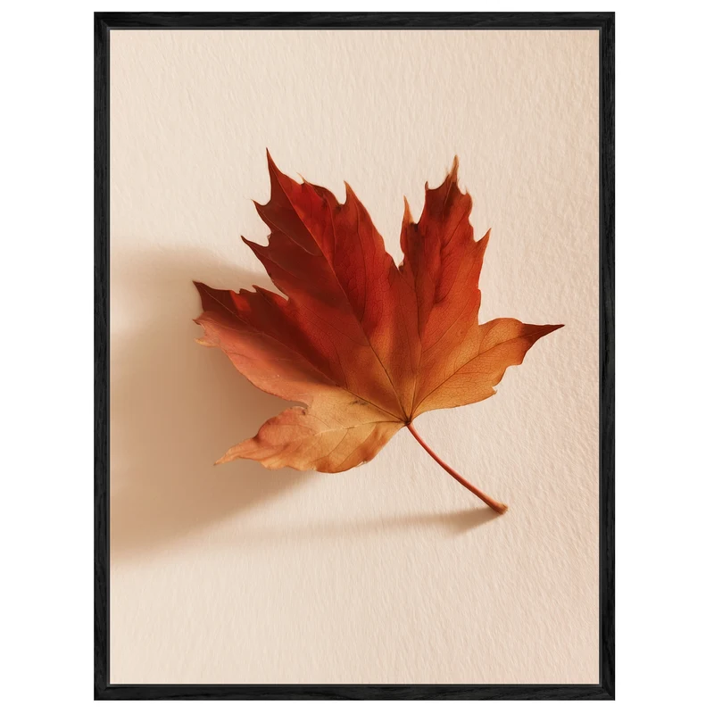 Herbstblatt im Licht Leinwand