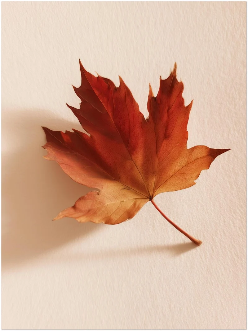 Herbstblatt im Licht Poster
