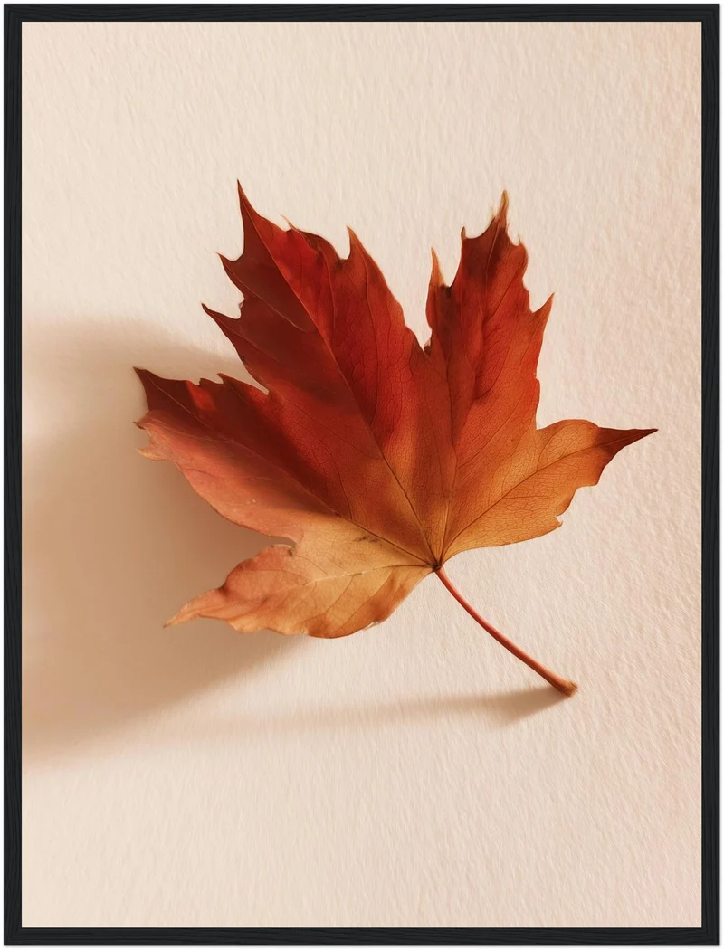 Herbstblatt im Licht Poster