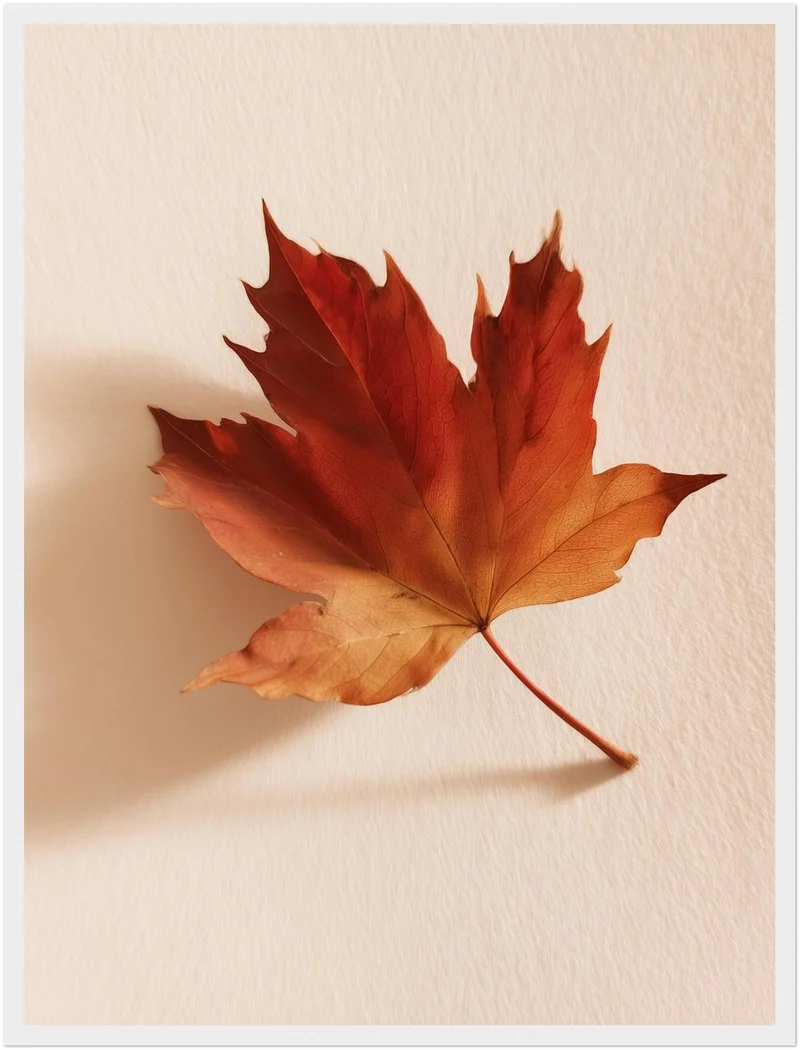 Herbstblatt im Licht Poster