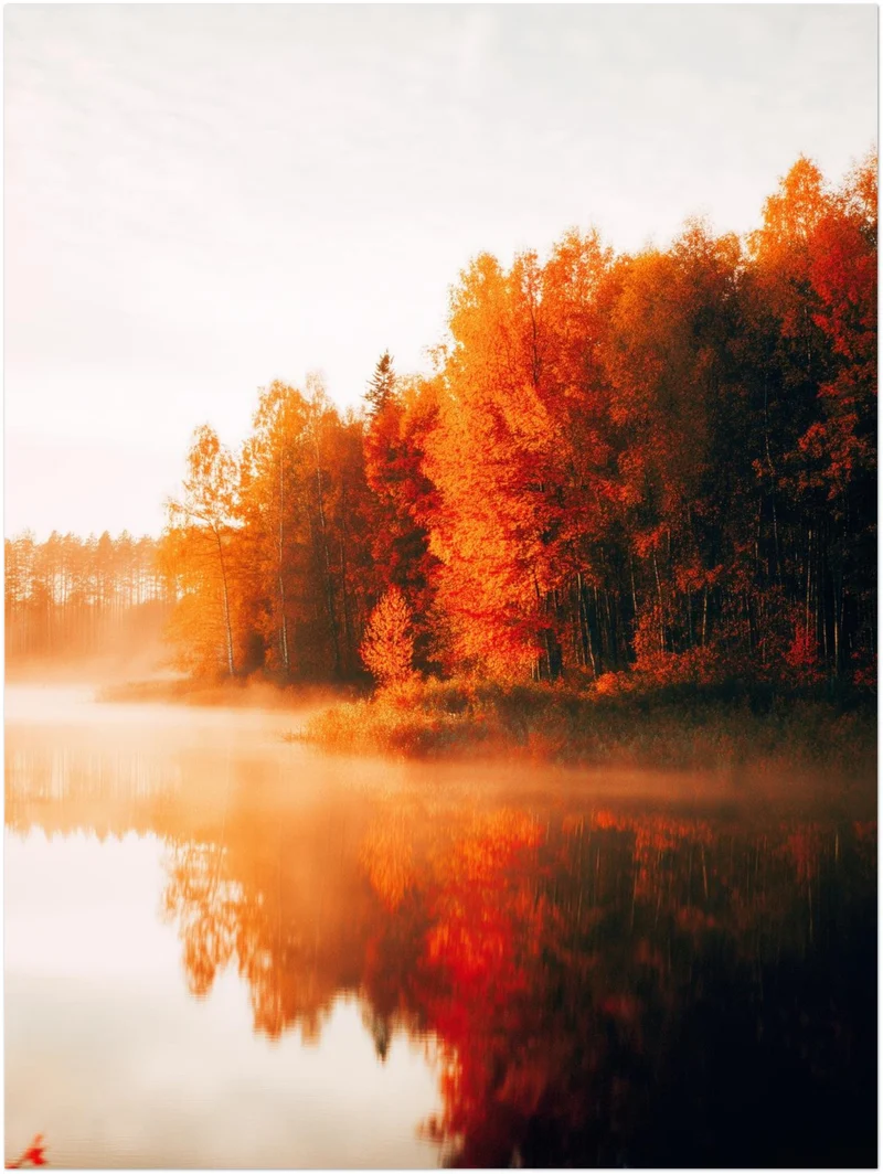 Herbstnebel am See Poster