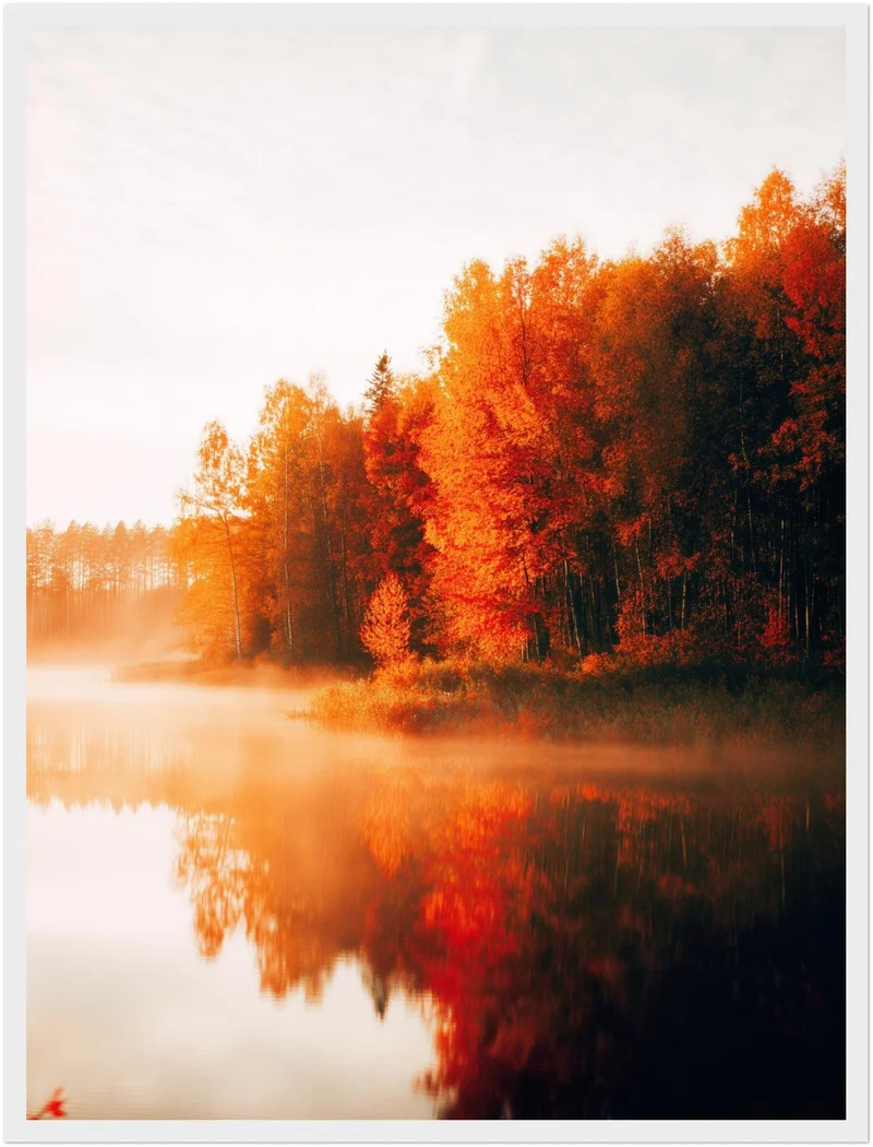 Herbstnebel am See Poster