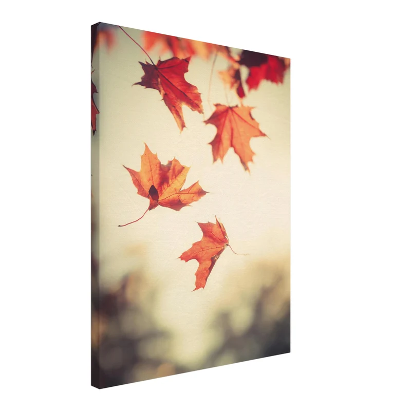 Fallende Ahornblätter im Herbst Leinwand