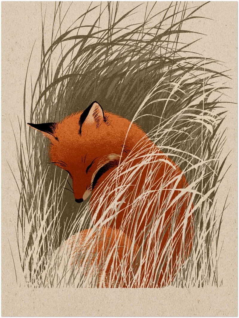Schlafender Fuchs im Schilf Poster