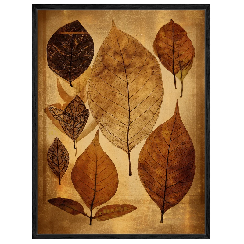 Getrocknete Blätter Herbarium Leinwand
