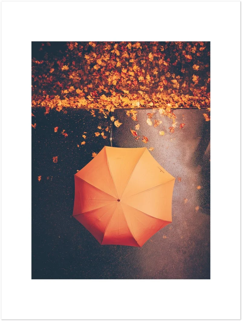 Regenschirm im Herbstregen Leinwand