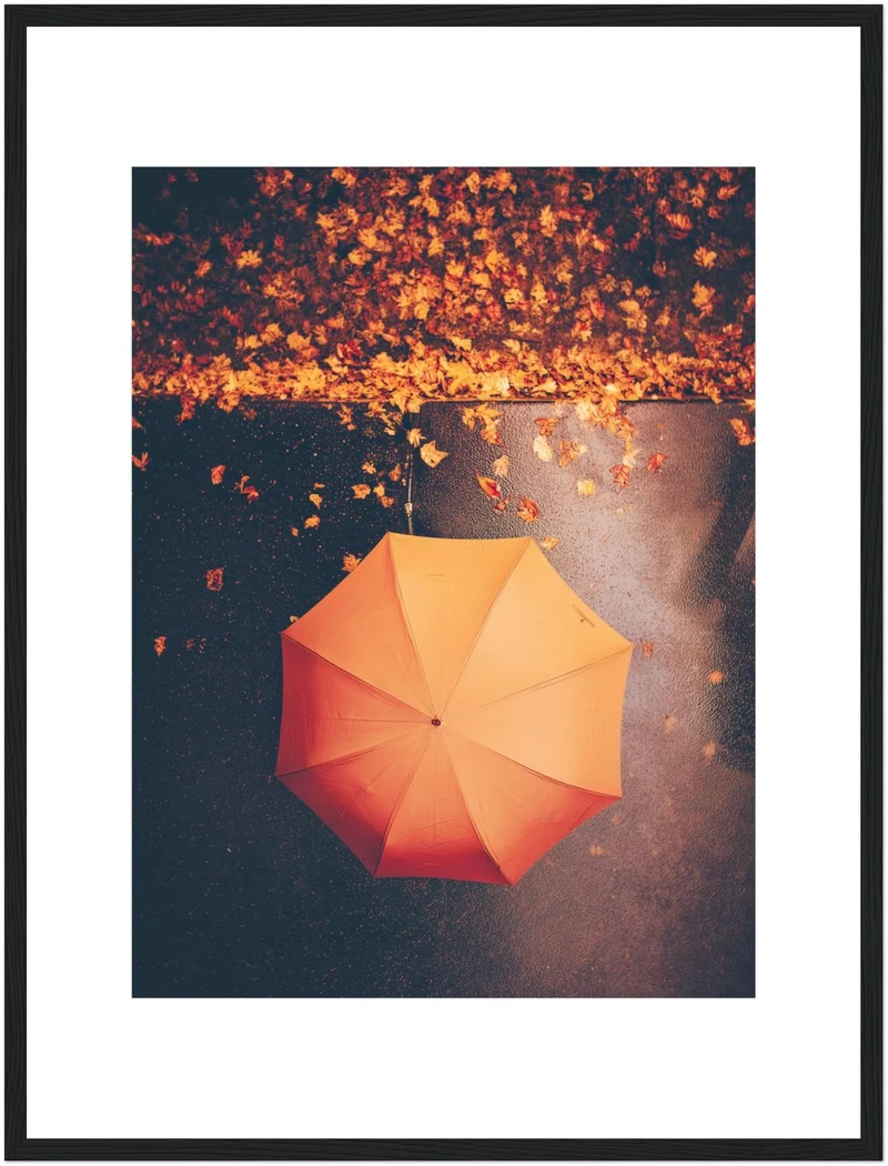 Regenschirm im Herbstregen Poster