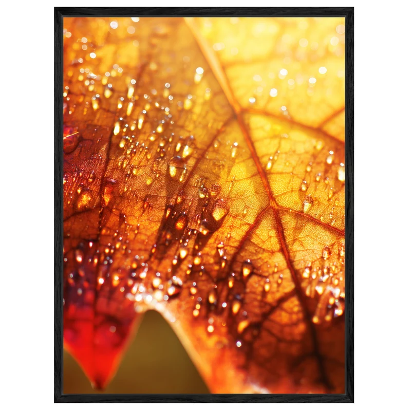 Herbstblatt im Regen Leinwand