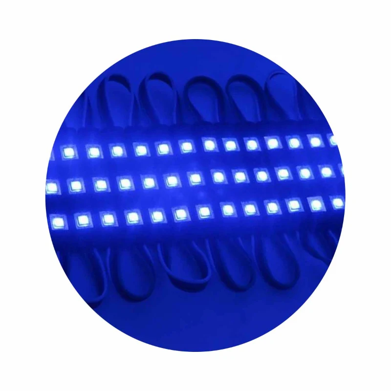 Blaue 12V LED Module IP65 Wasserdicht SMD ~1752