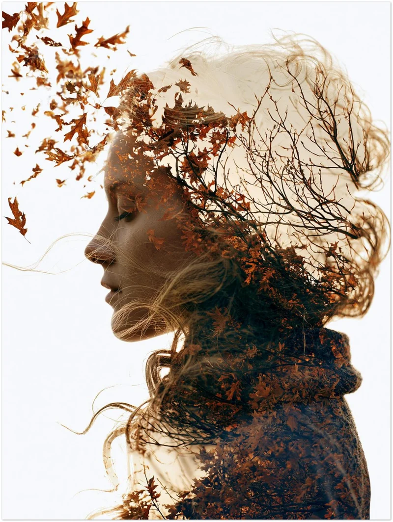 Herbststurm im Porträt Poster