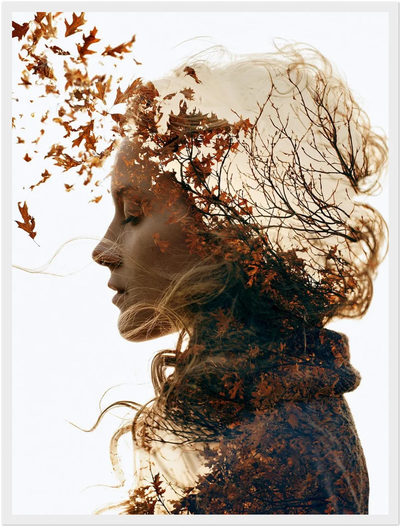 Herbststurm im Porträt Poster