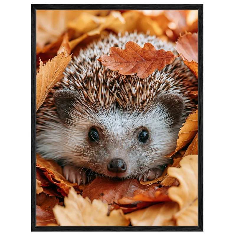 Igel im Herbstlaub Leinwand