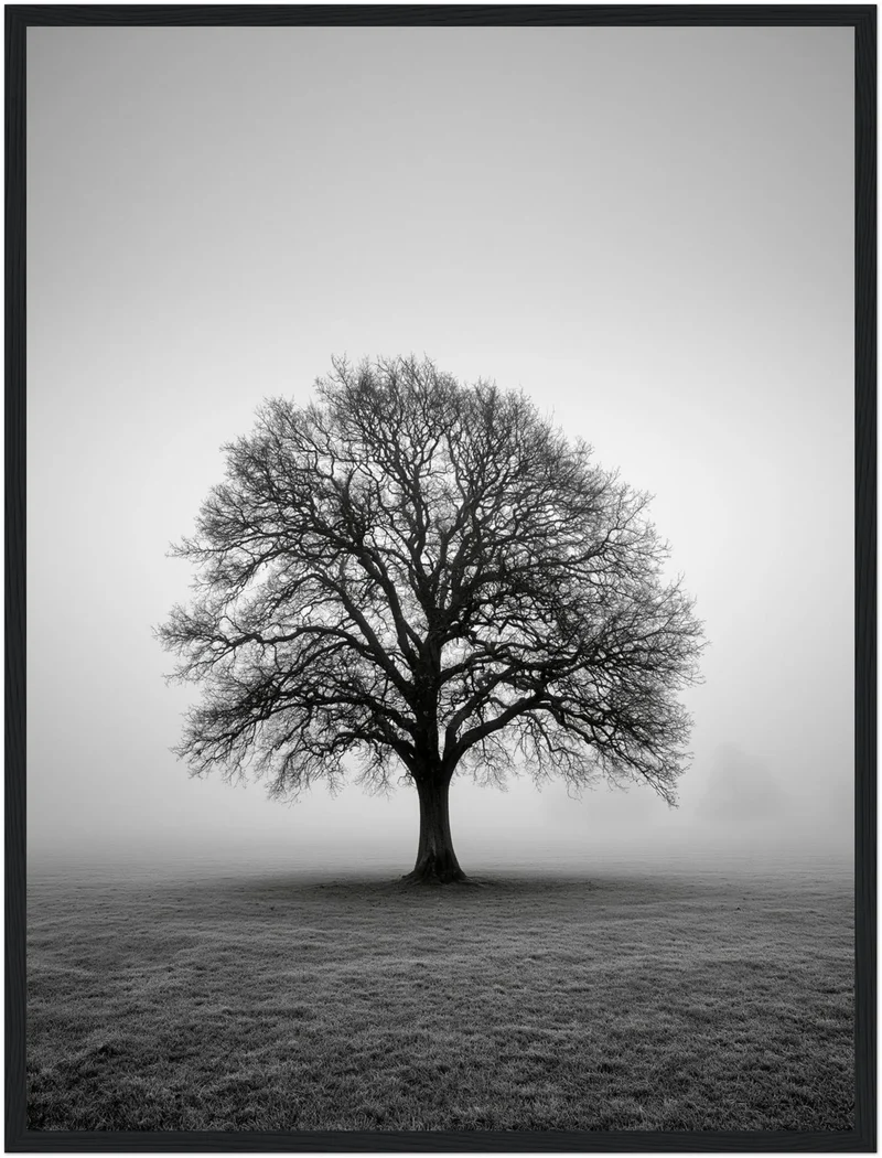 Einsame Eiche im Nebel Poster