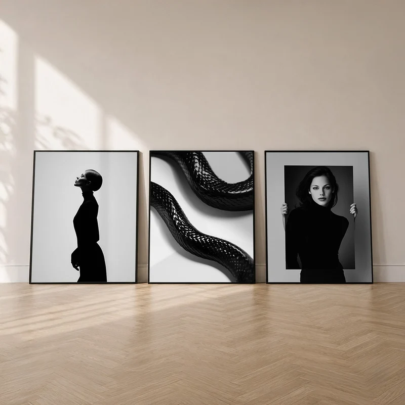 Schwarz-Weiß Set – Silhouetten & Formen