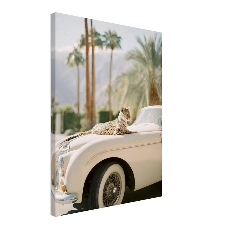 Gepard auf Creme-Cabrio Leinwand