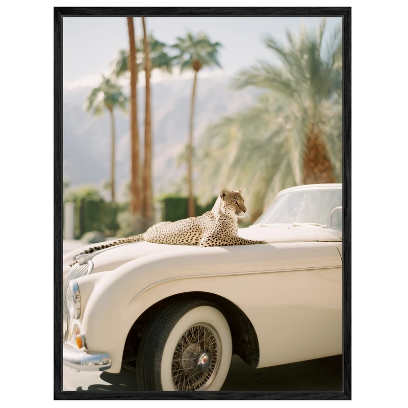 Gepard auf Creme-Cabrio Leinwand