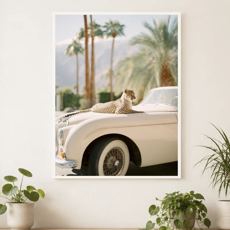 Gepard auf Creme-Cabrio Poster
