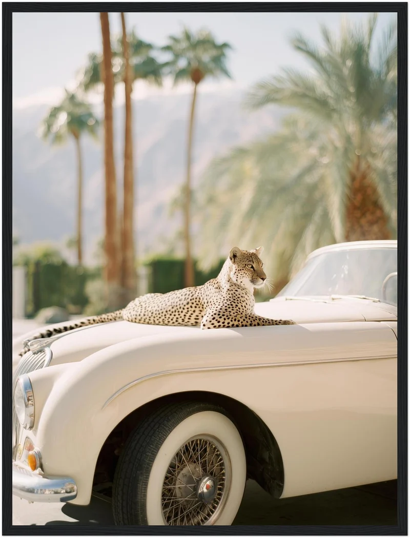 Gepard auf Creme-Cabrio Poster